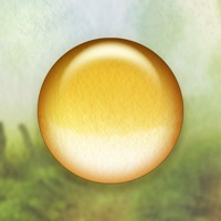 Quell Reflect icon
