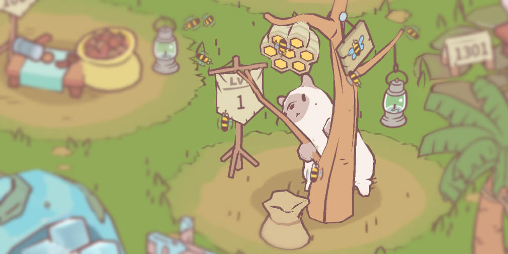 Cats & Soup