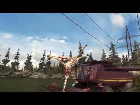 yt