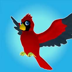 The Bird Game